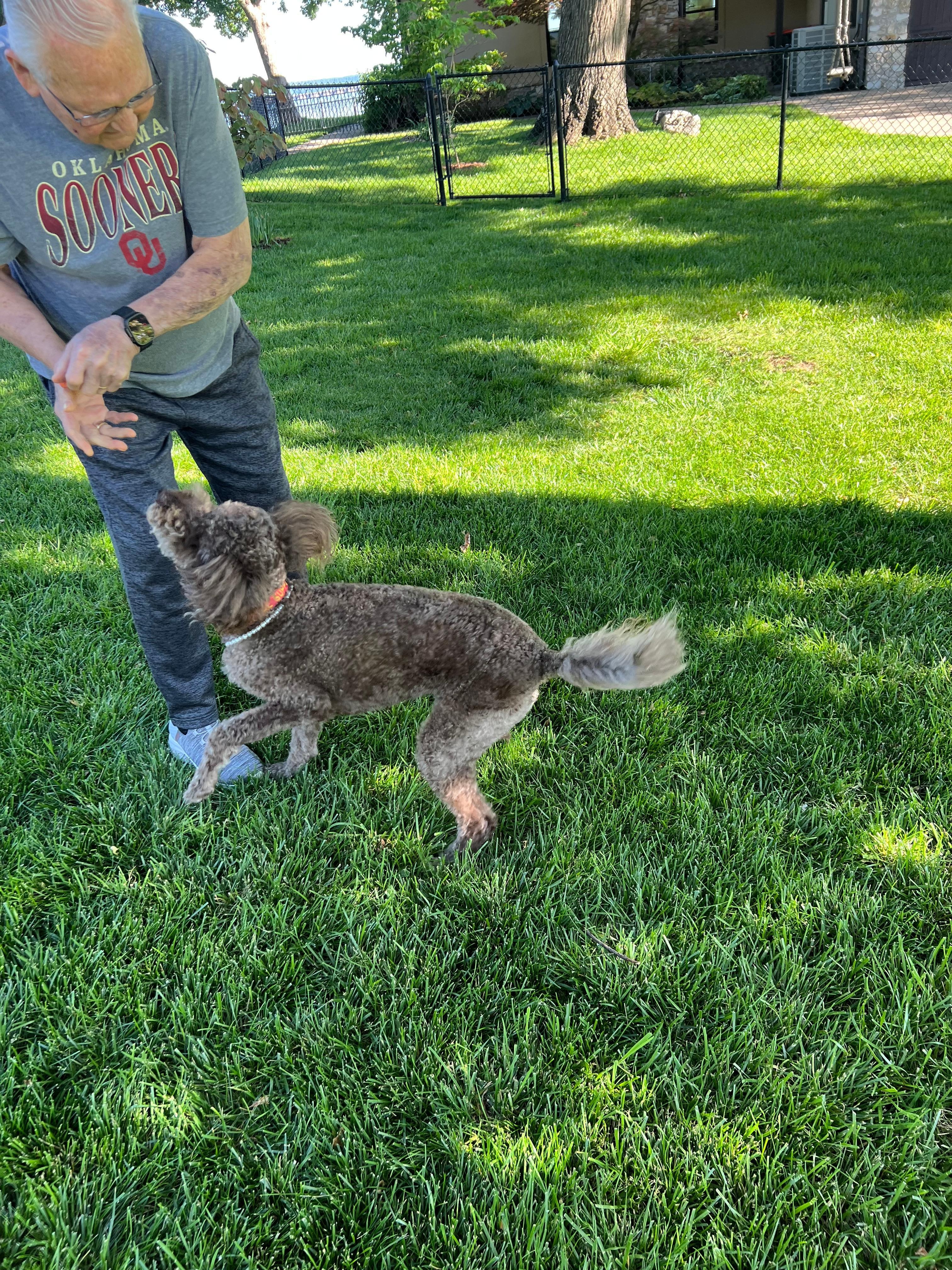 Amazing large fenced yard which offered a safe place for our to play!  