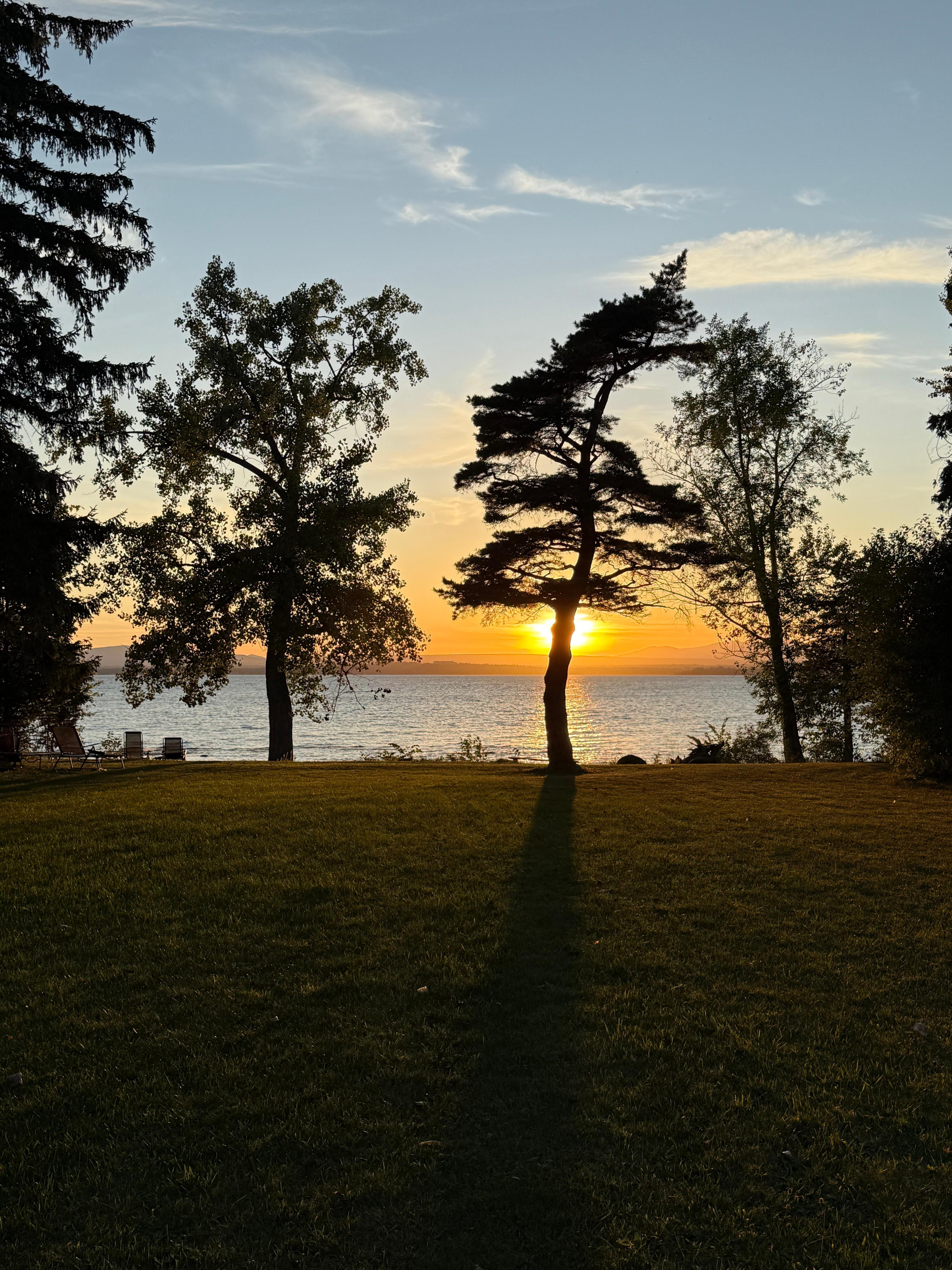 View of the lake and back yard