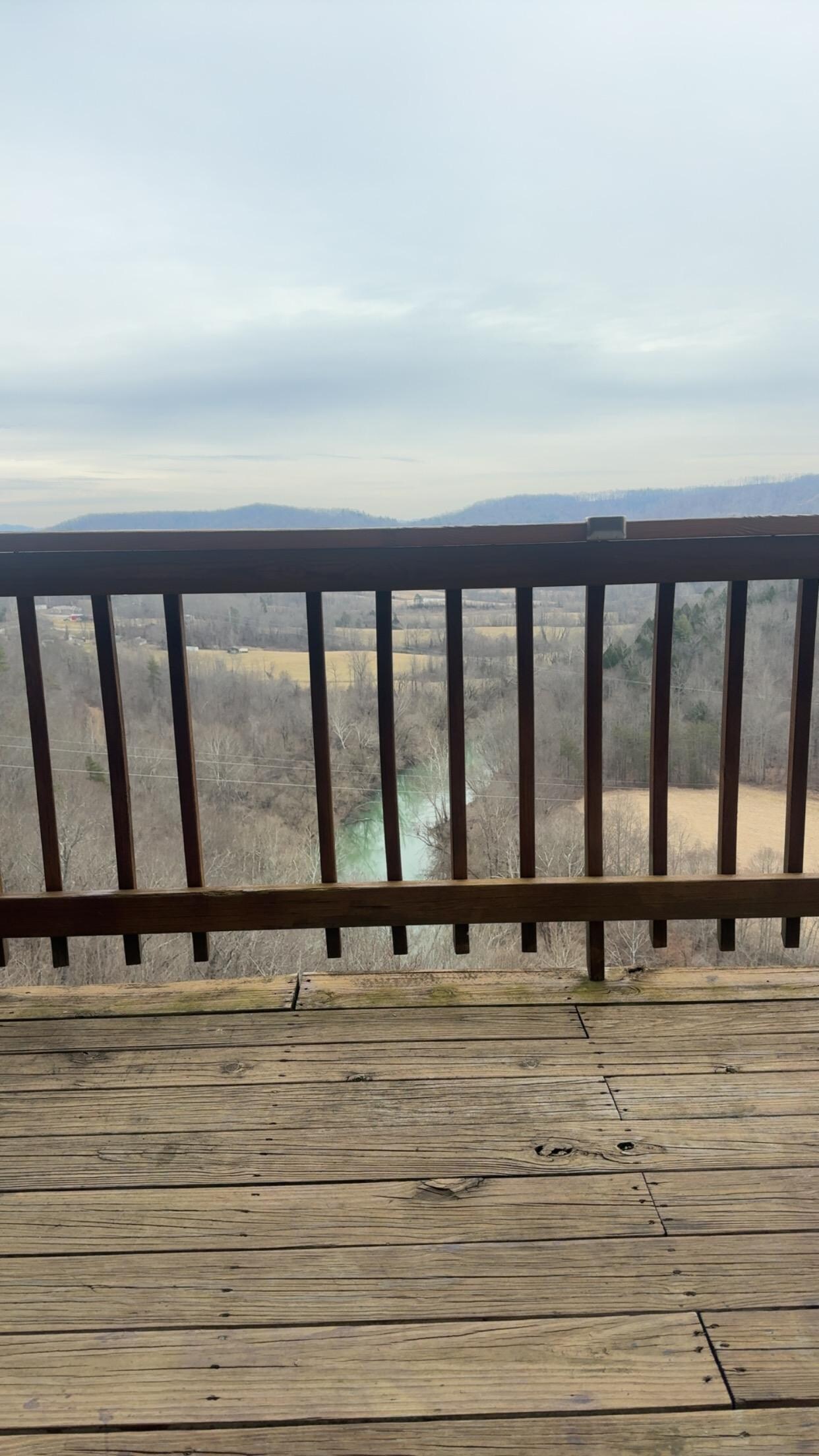 This was the view from the porch swing