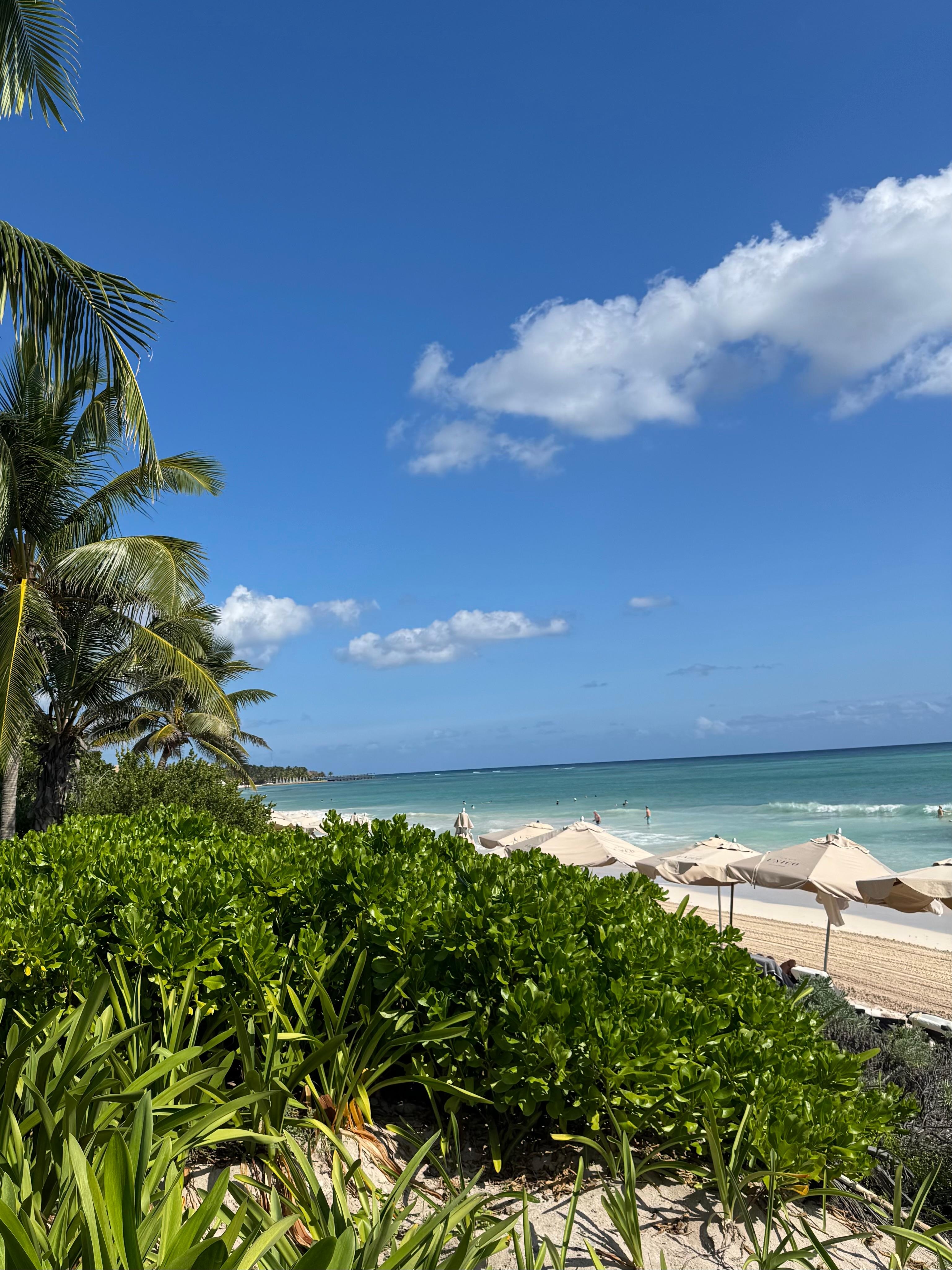 Beach View at Resort 