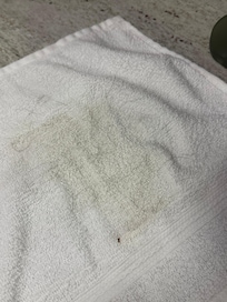 This was the dog hair and the dirt that came off the comforter.