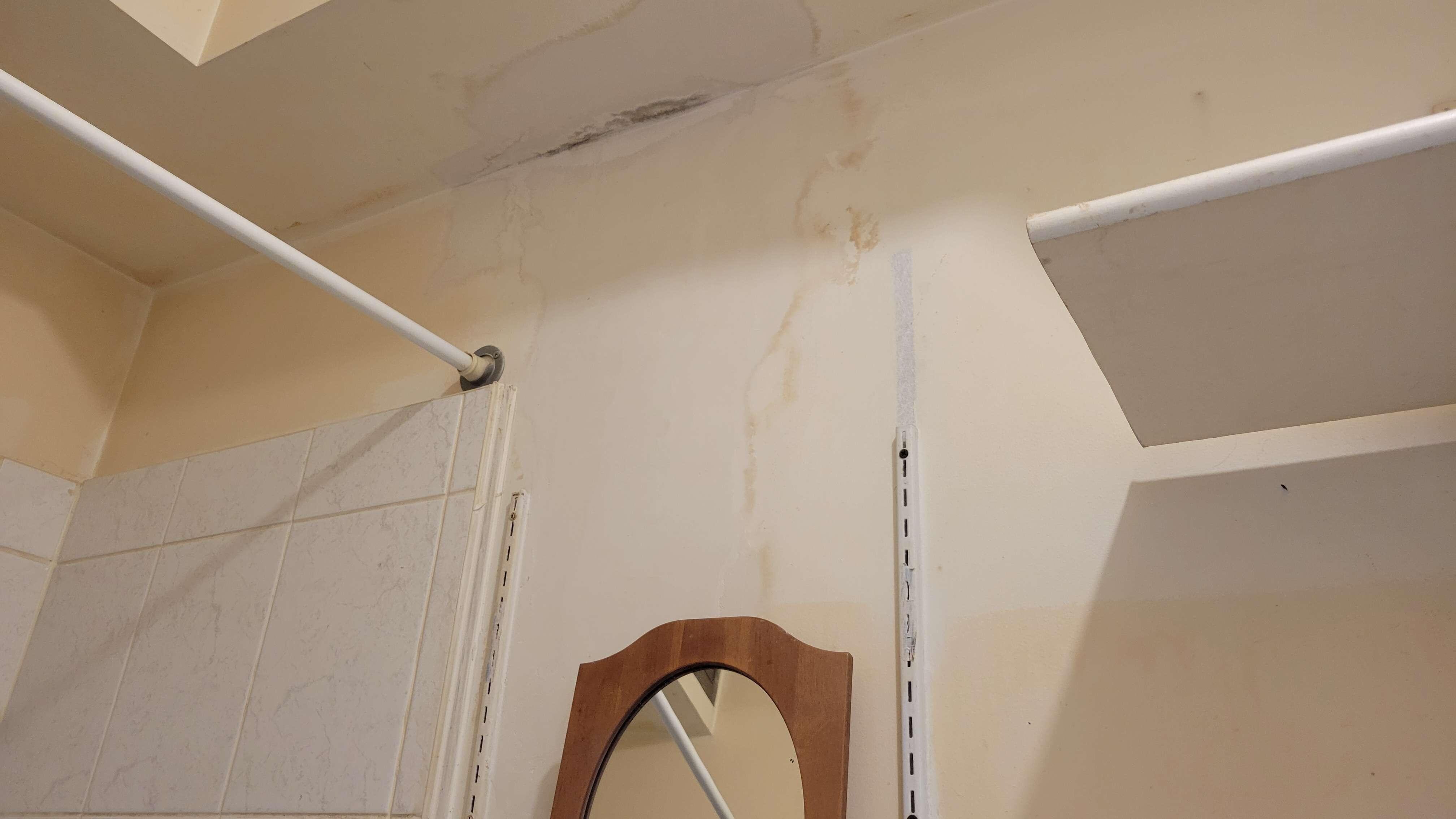 Further mold and water damage in bathroom, this is above the toilet.
