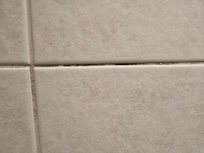Mold