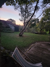 The view at dawn 2