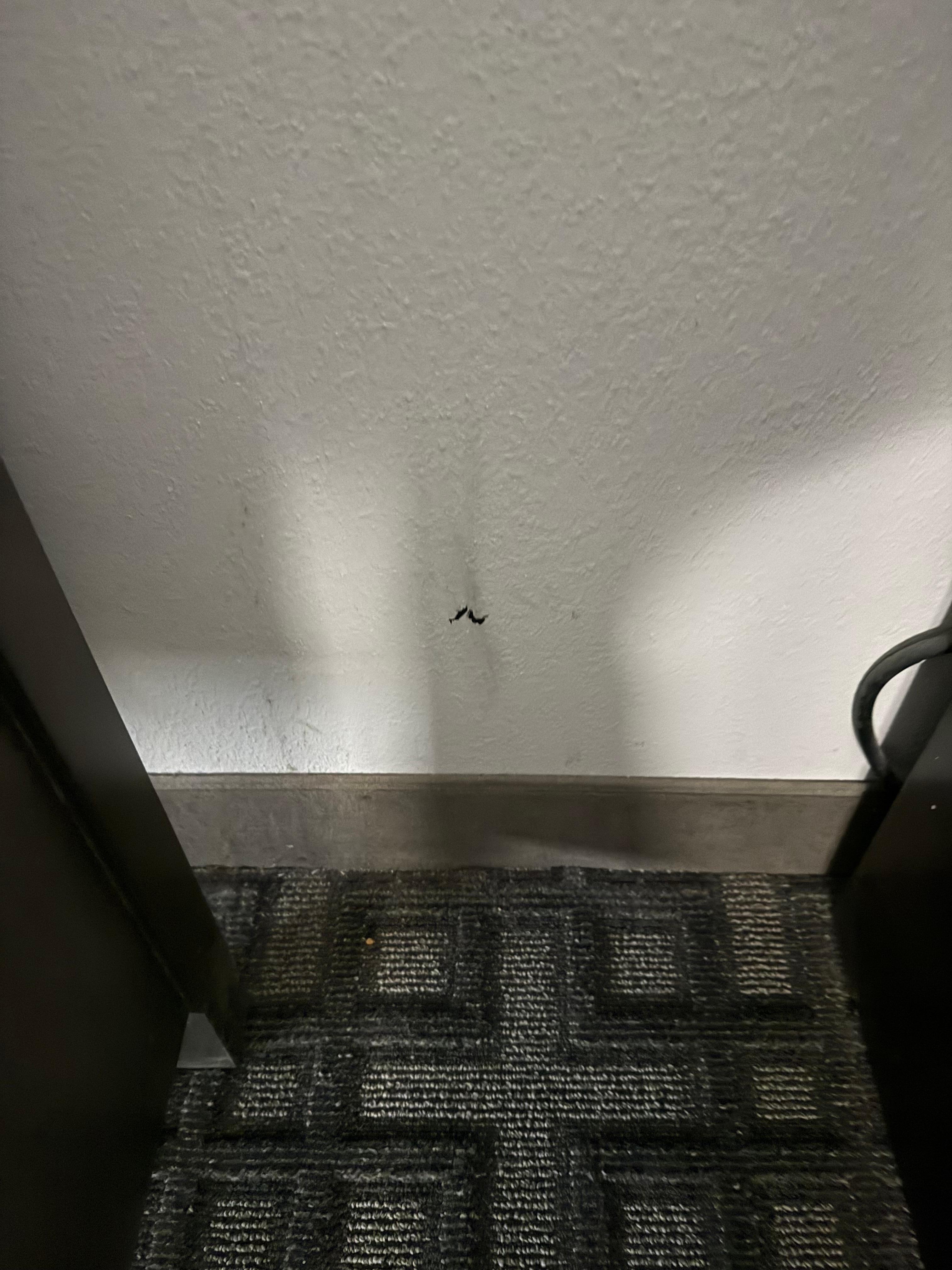 Mystery spot on the wall