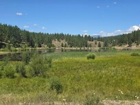 View out the back.