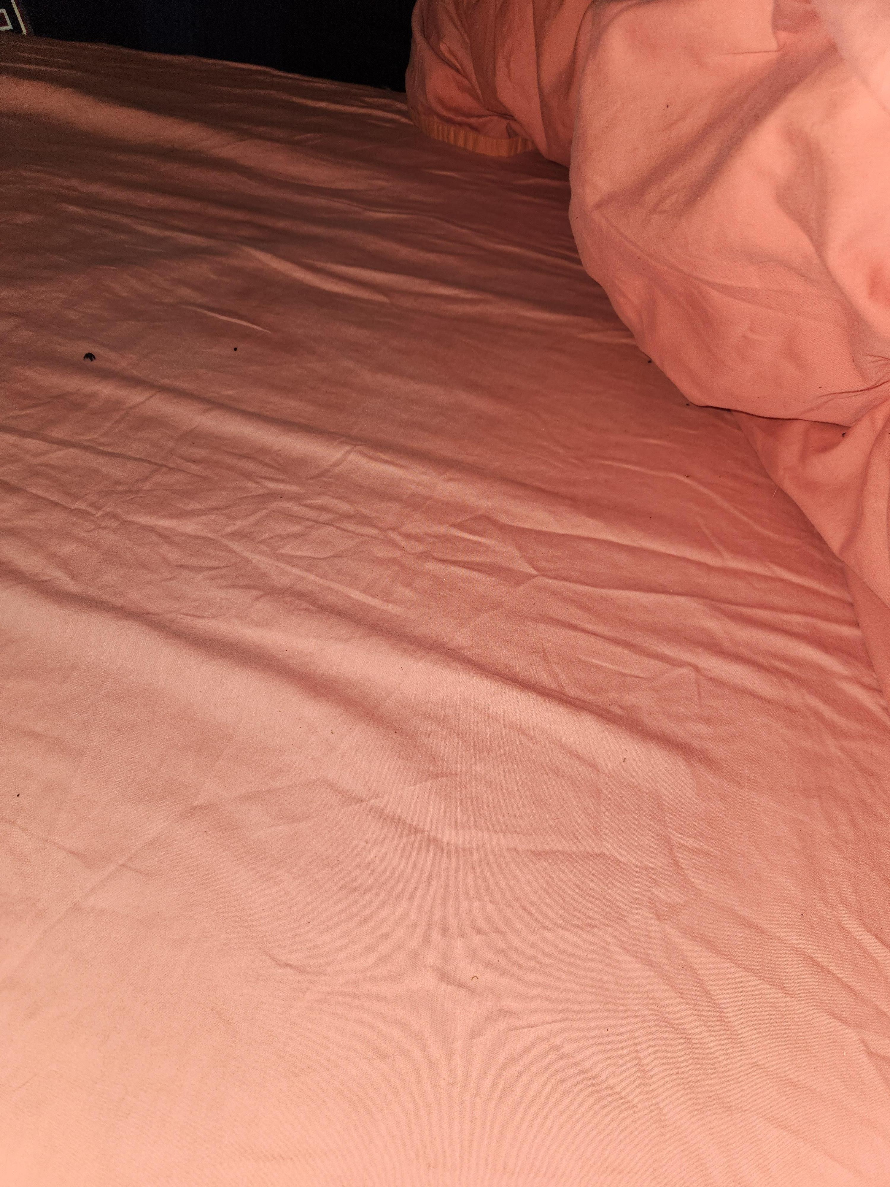 Bedding was not changed from previous guests, covered in lint and hair. 