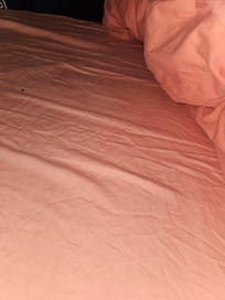 Bedding was not changed from previous guests, covered in lint and hair.