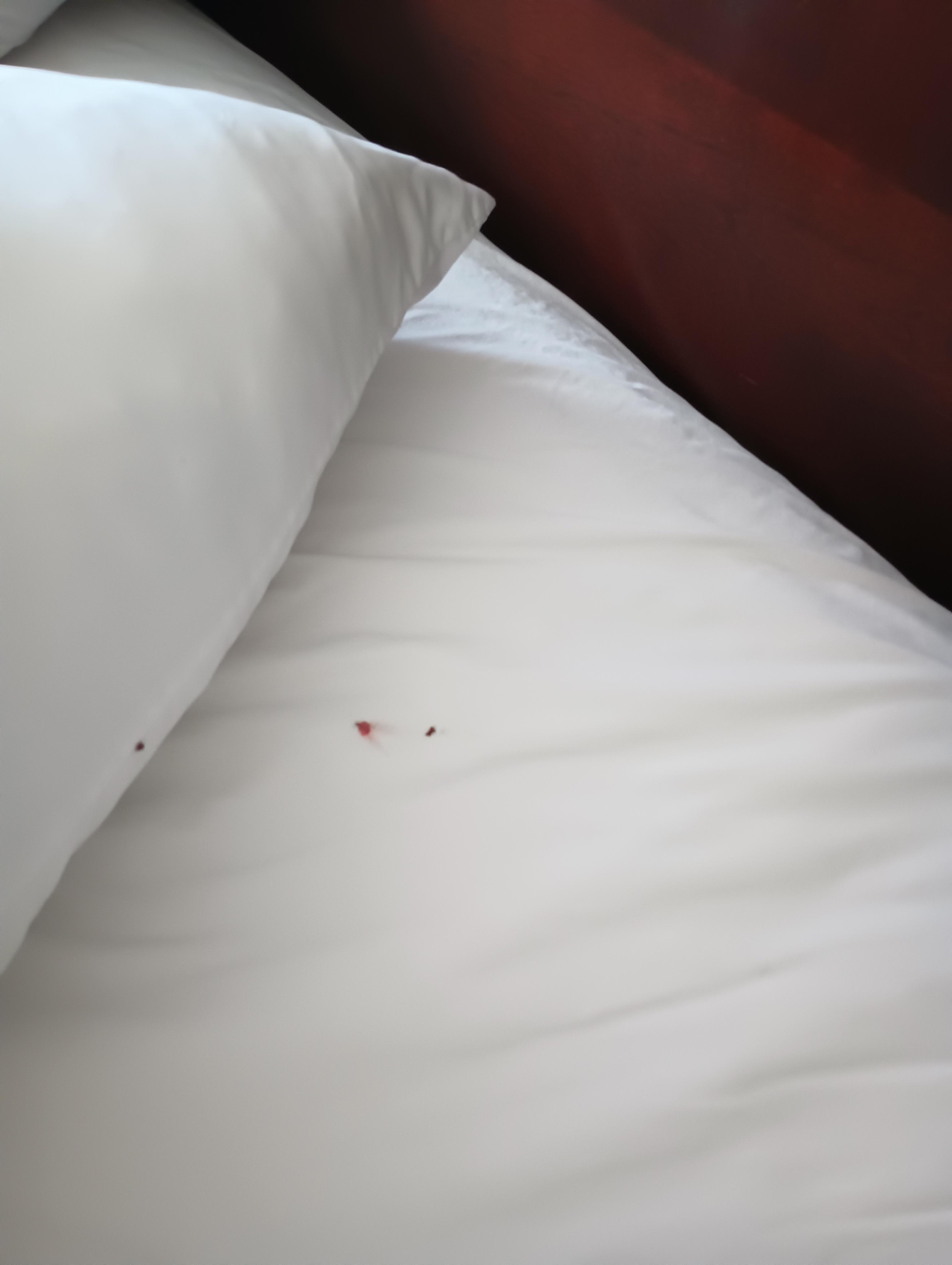 Bed bugs
