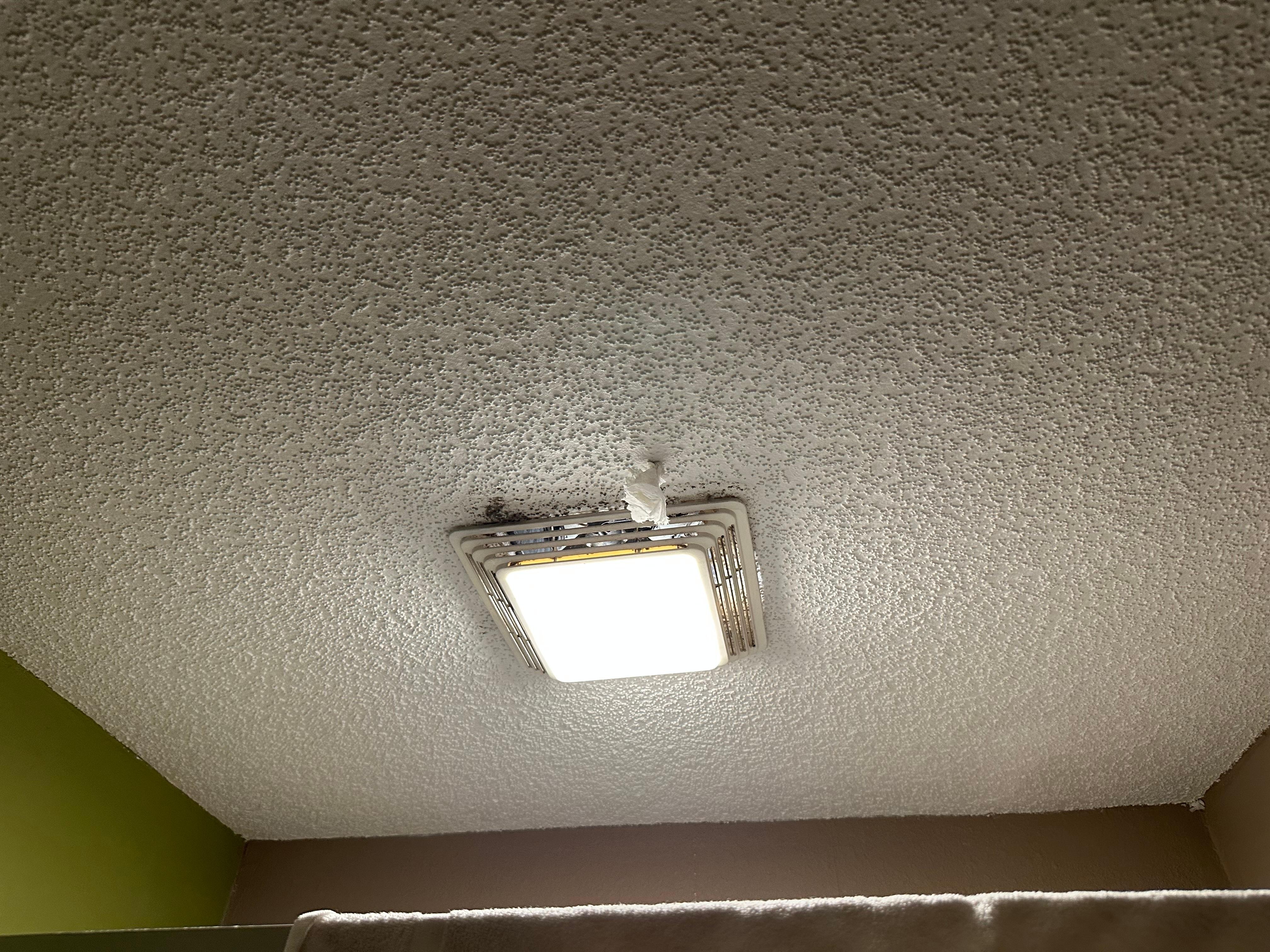 Tissue is actually stuck in a hole in the ceiling in the bathroom