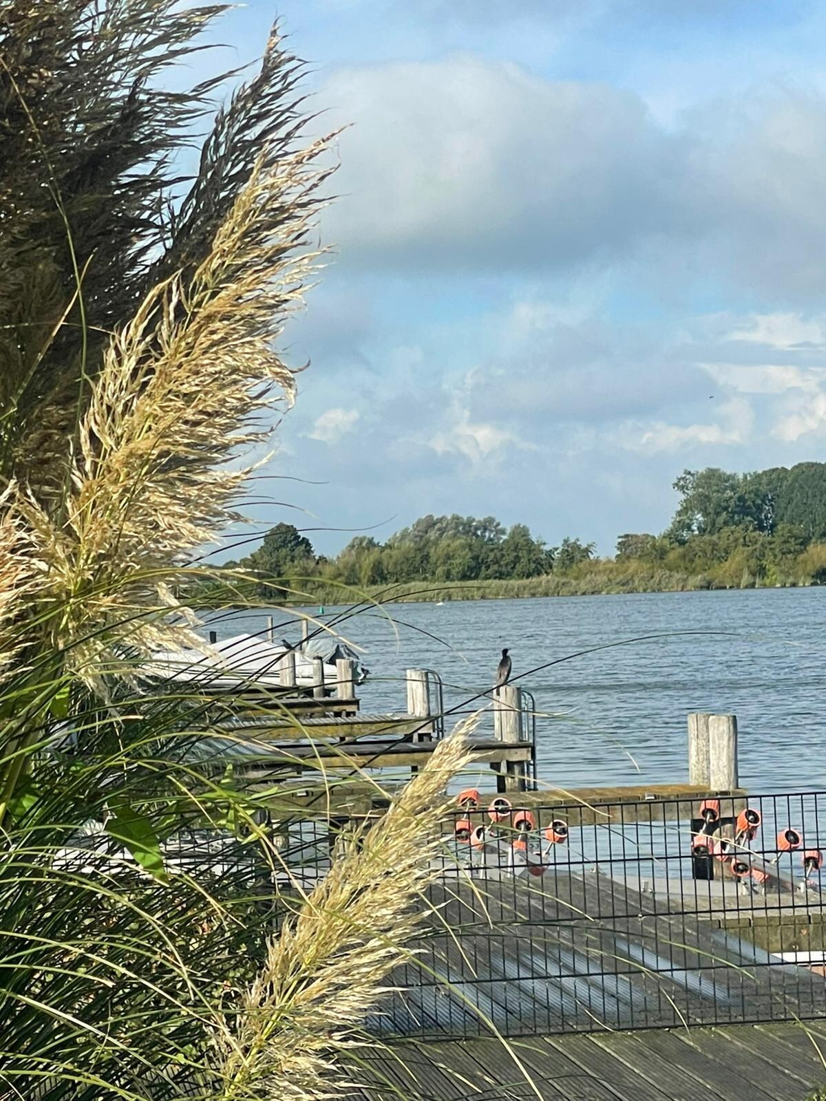 Mit diesem schönen Ausblick sind wir aufgestanden.....