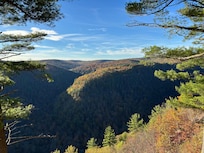 View of the canyon from Leonard Harrison Park
