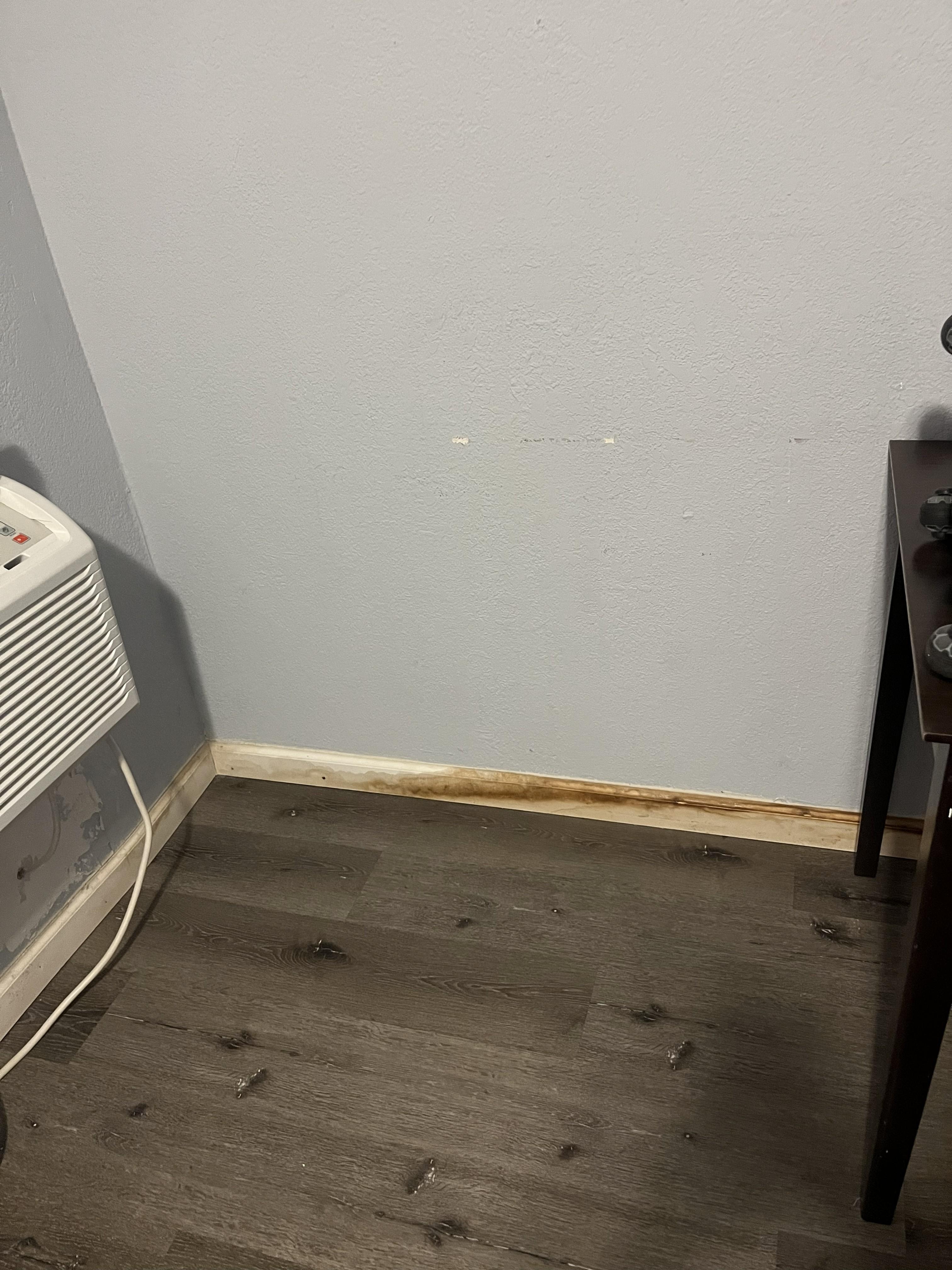 Filthy baseboard and floor