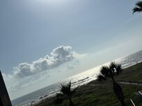 Window view