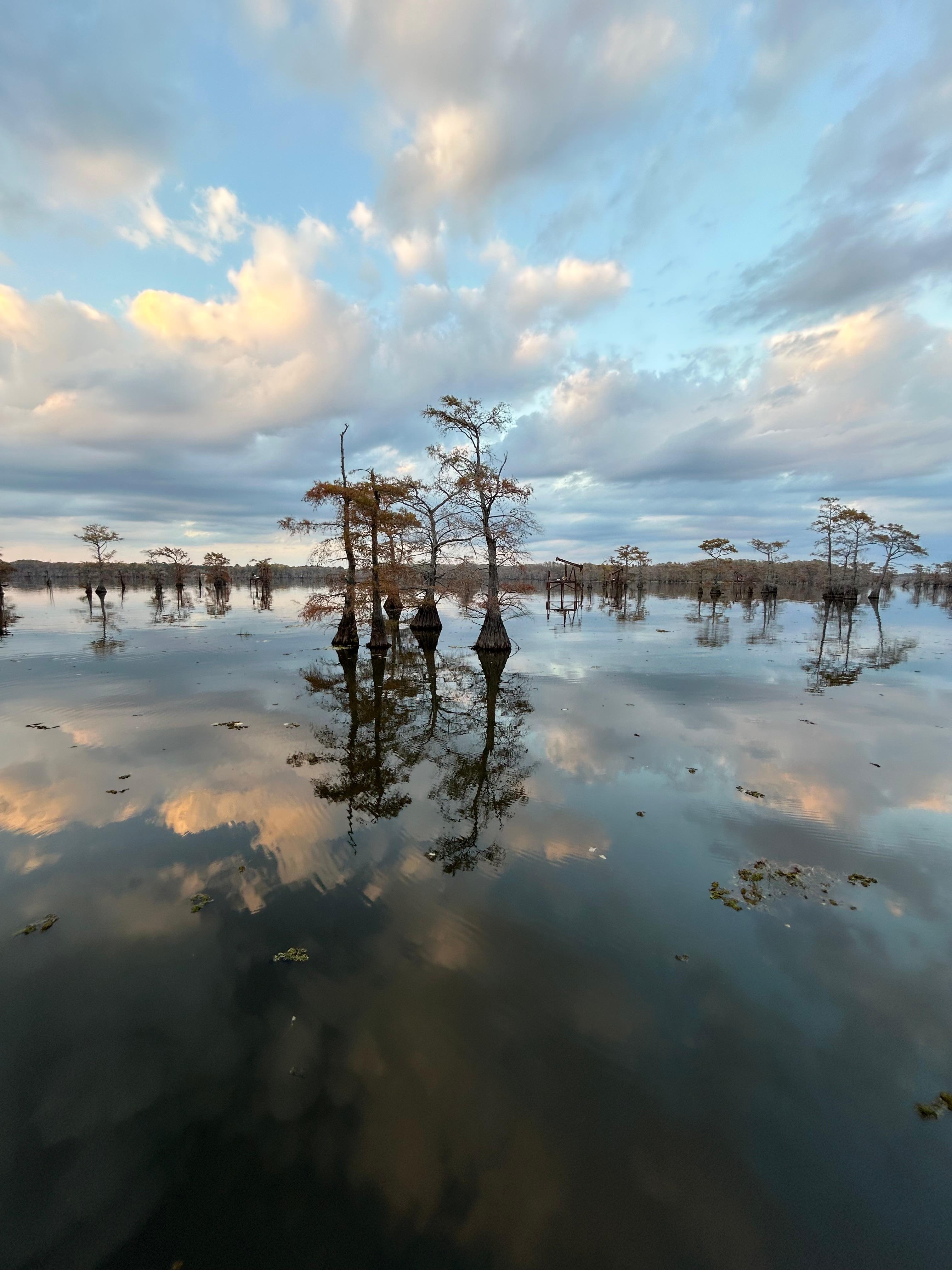 Caddo Lake