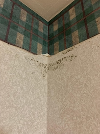 Mold in bathroom