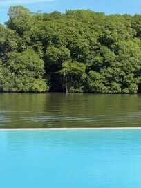 View from the pool deck