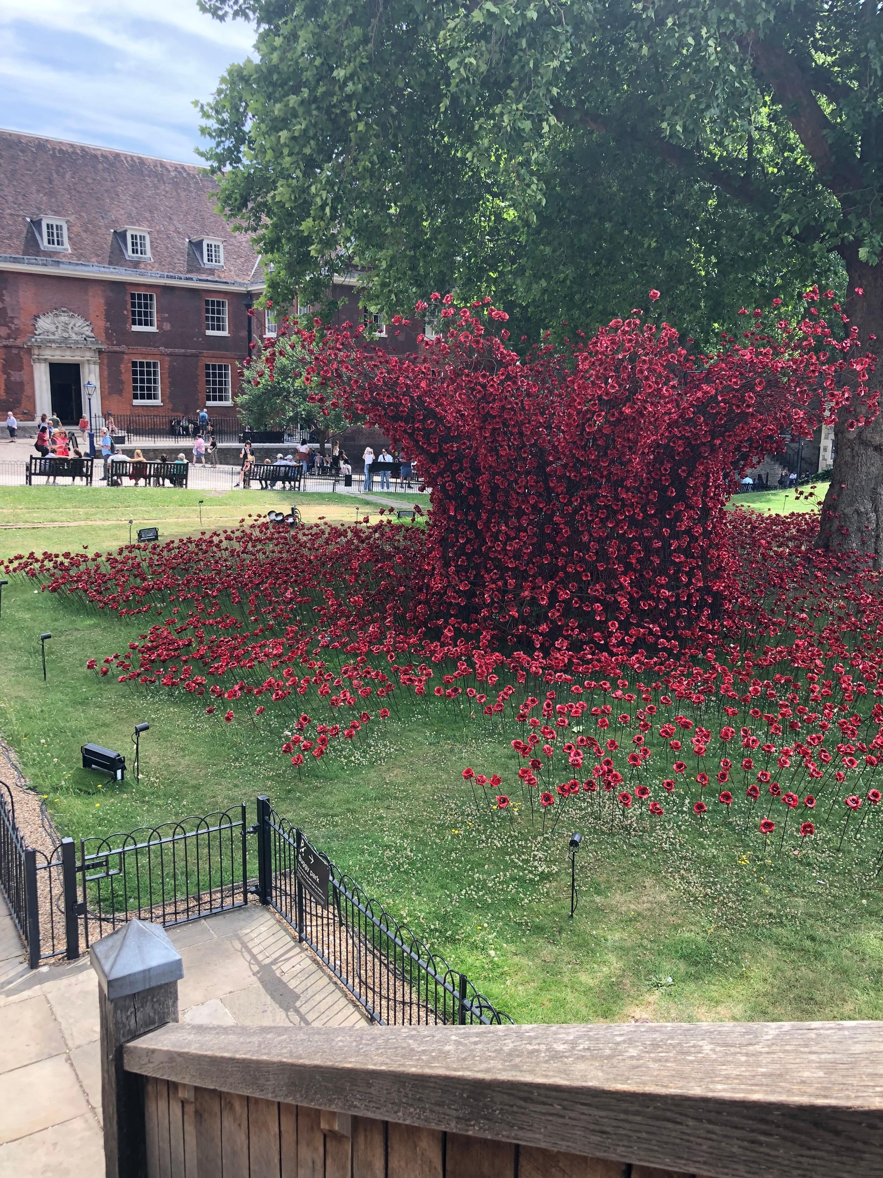 Poppies at The Tower of London 