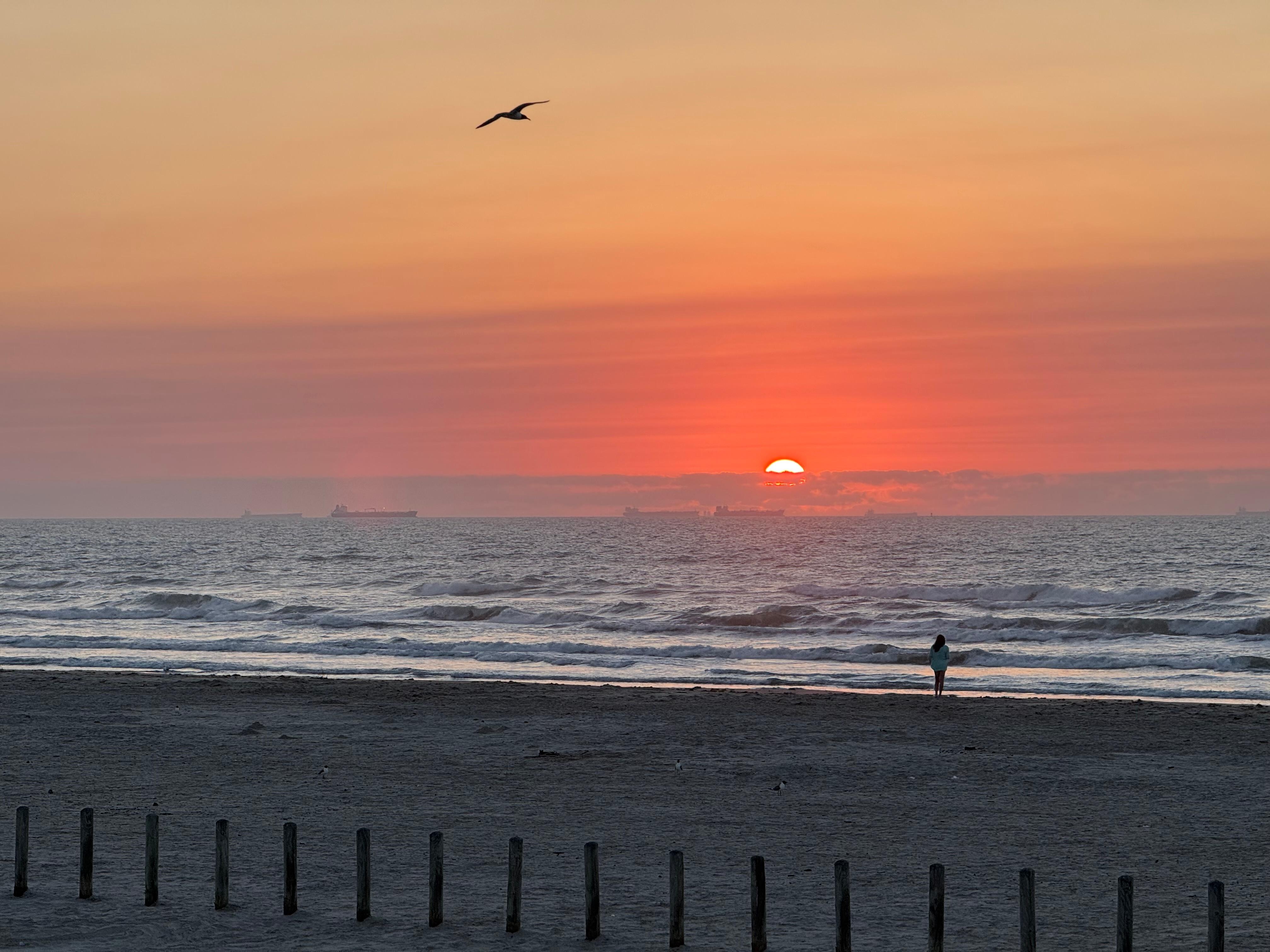 Woke up daily to see the sunrise and it was just mesmerizing! 