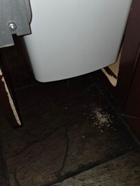Where mouse chewed through drawer where trash was located