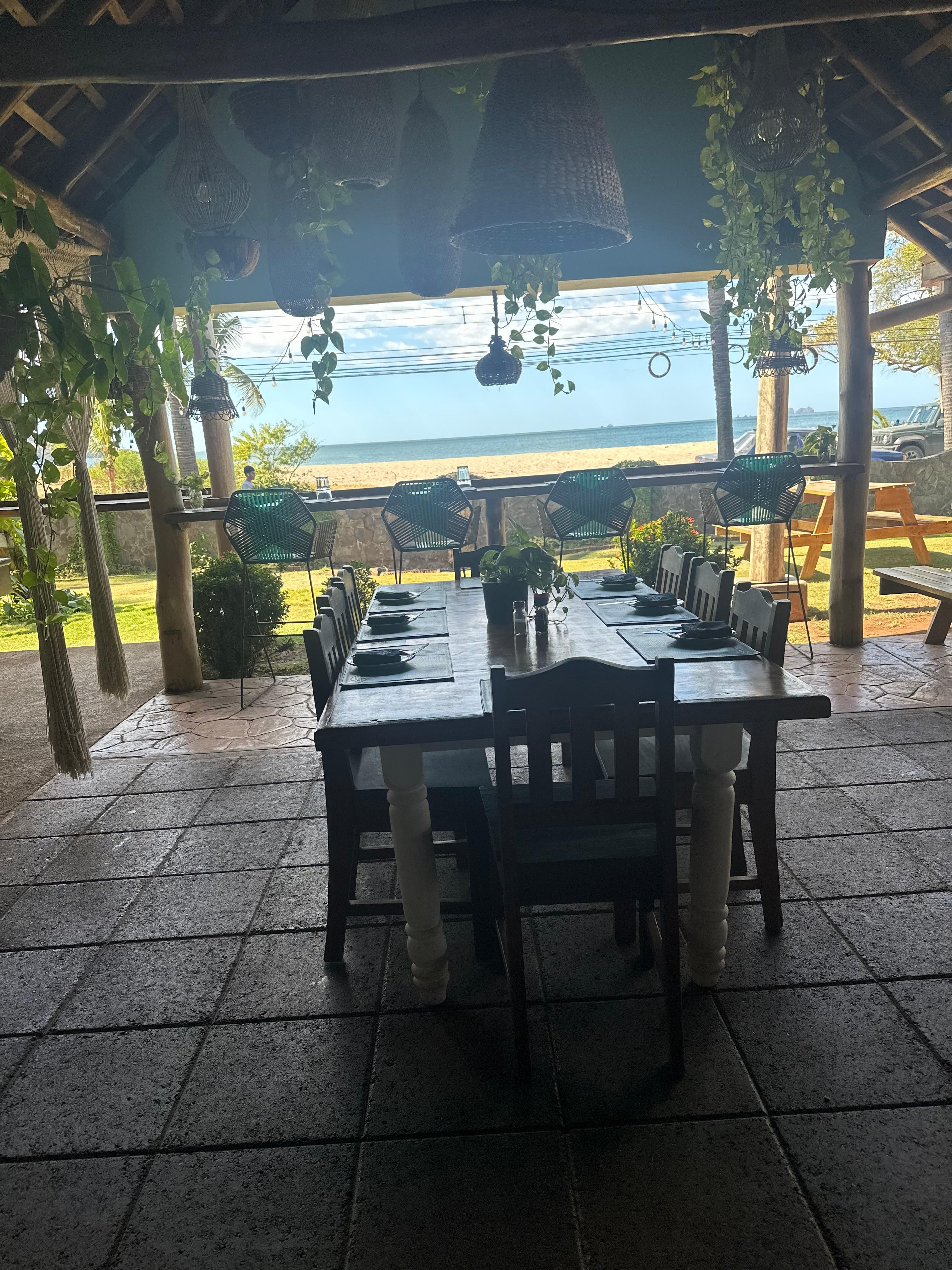 View from the back door