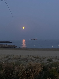 From the end of the garden.