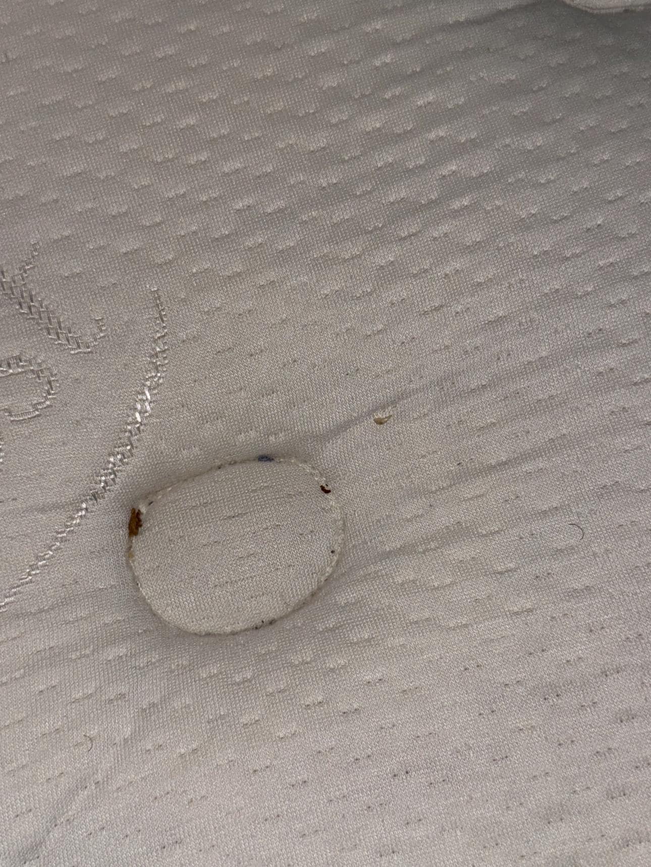 Mattress that has not been cleaned