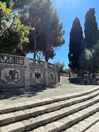 Espace verdure promenade des Anglais