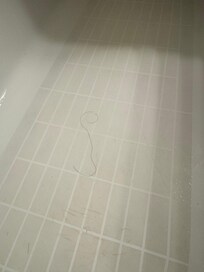 The bath towel has female hair.