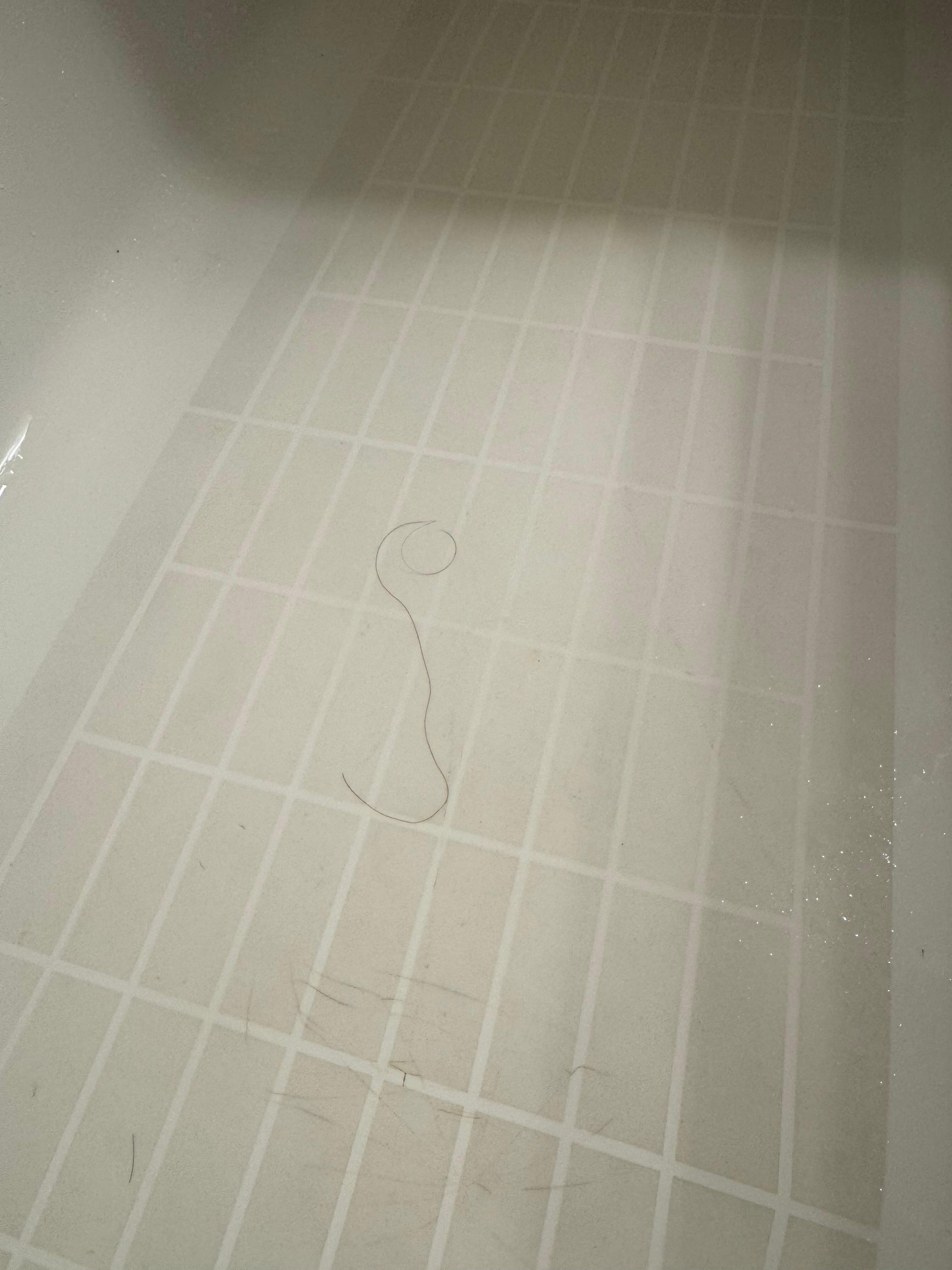 The bath towel has female hair.