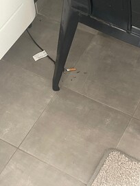 Mégot de cigarette écrasé au sol dans la cuisine.