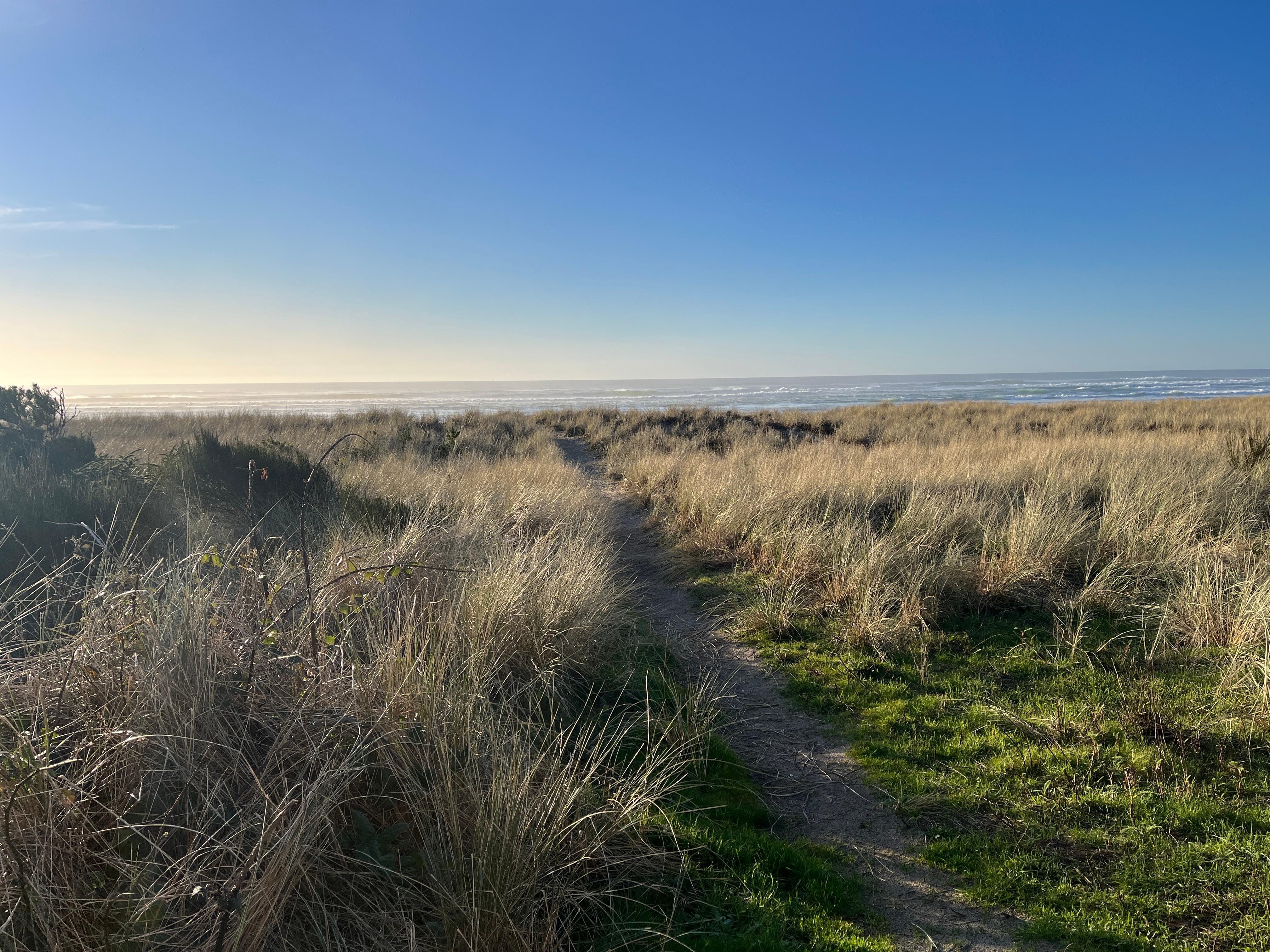 Pathway to the beach from the back door of the house
