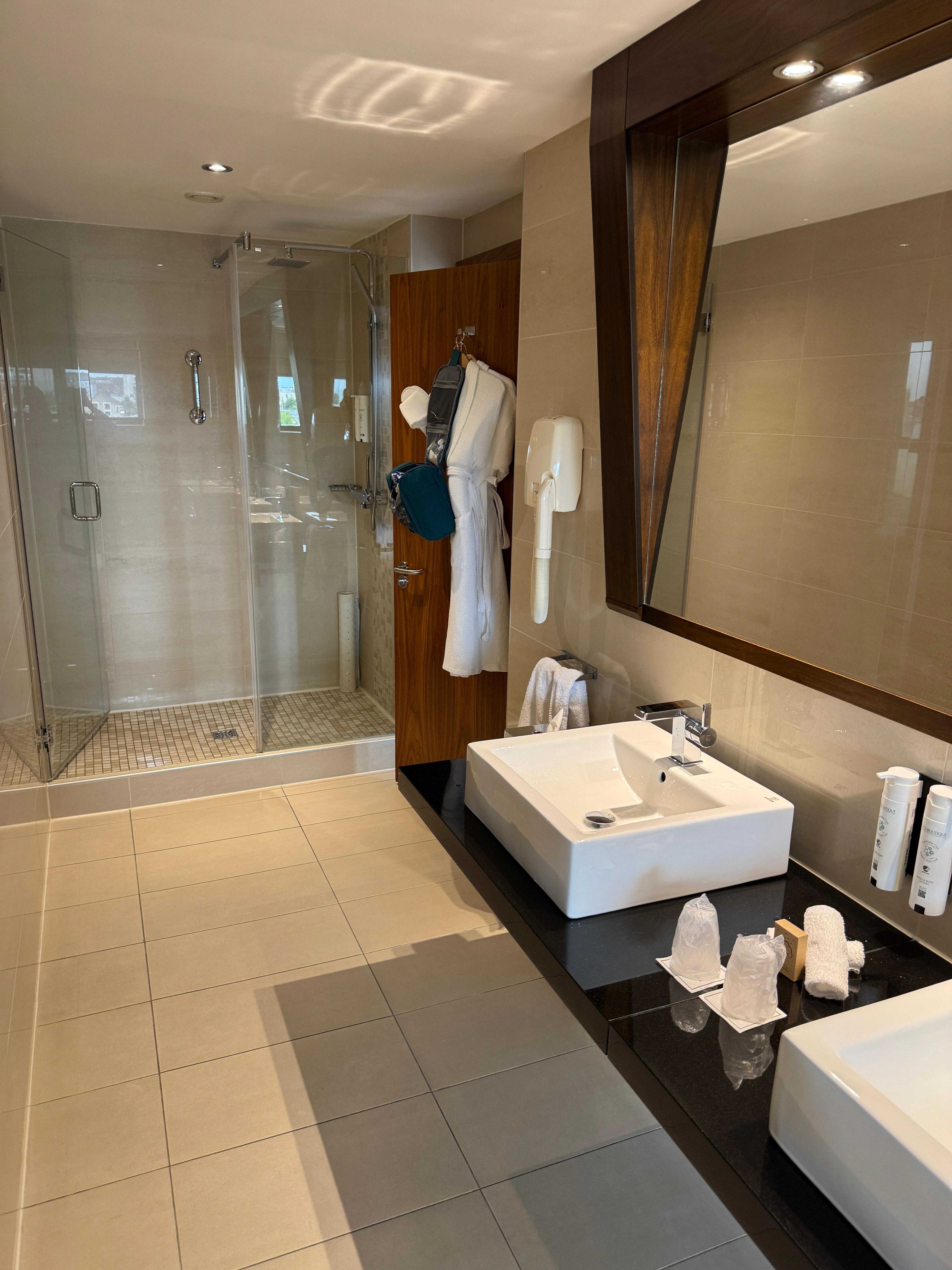 Shower section of the bathroom in the Deluxe Room