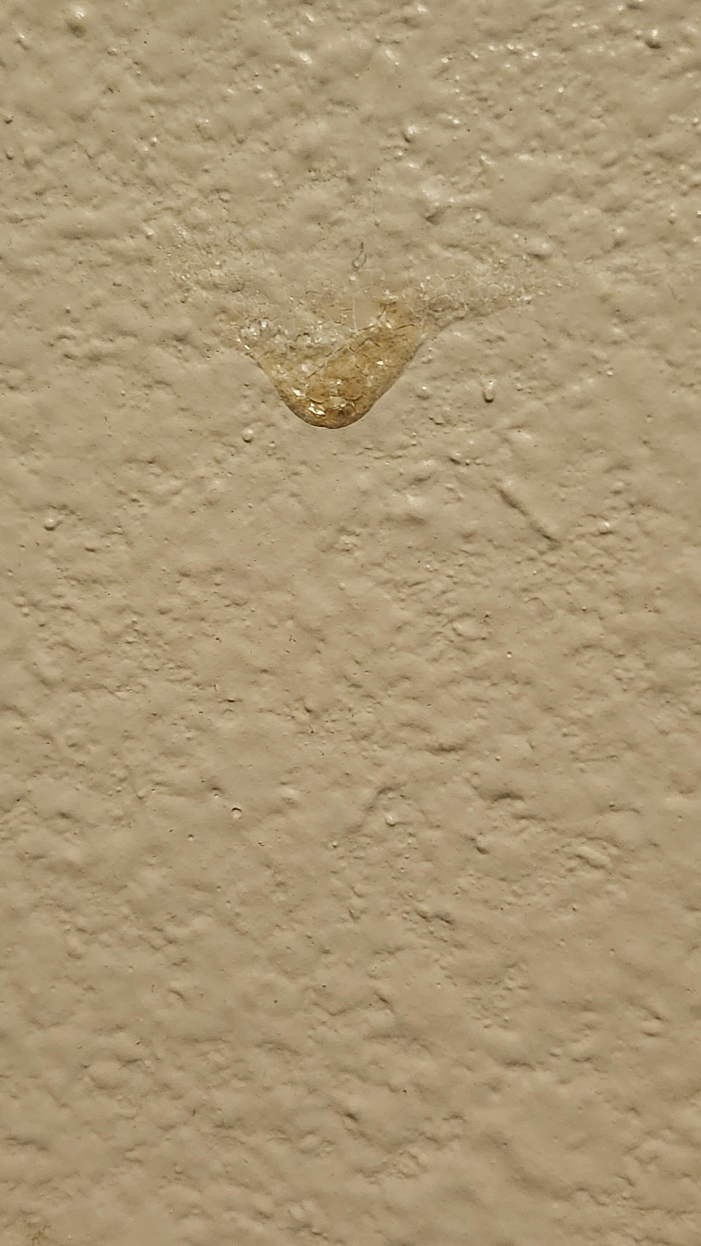 Boogers on wall