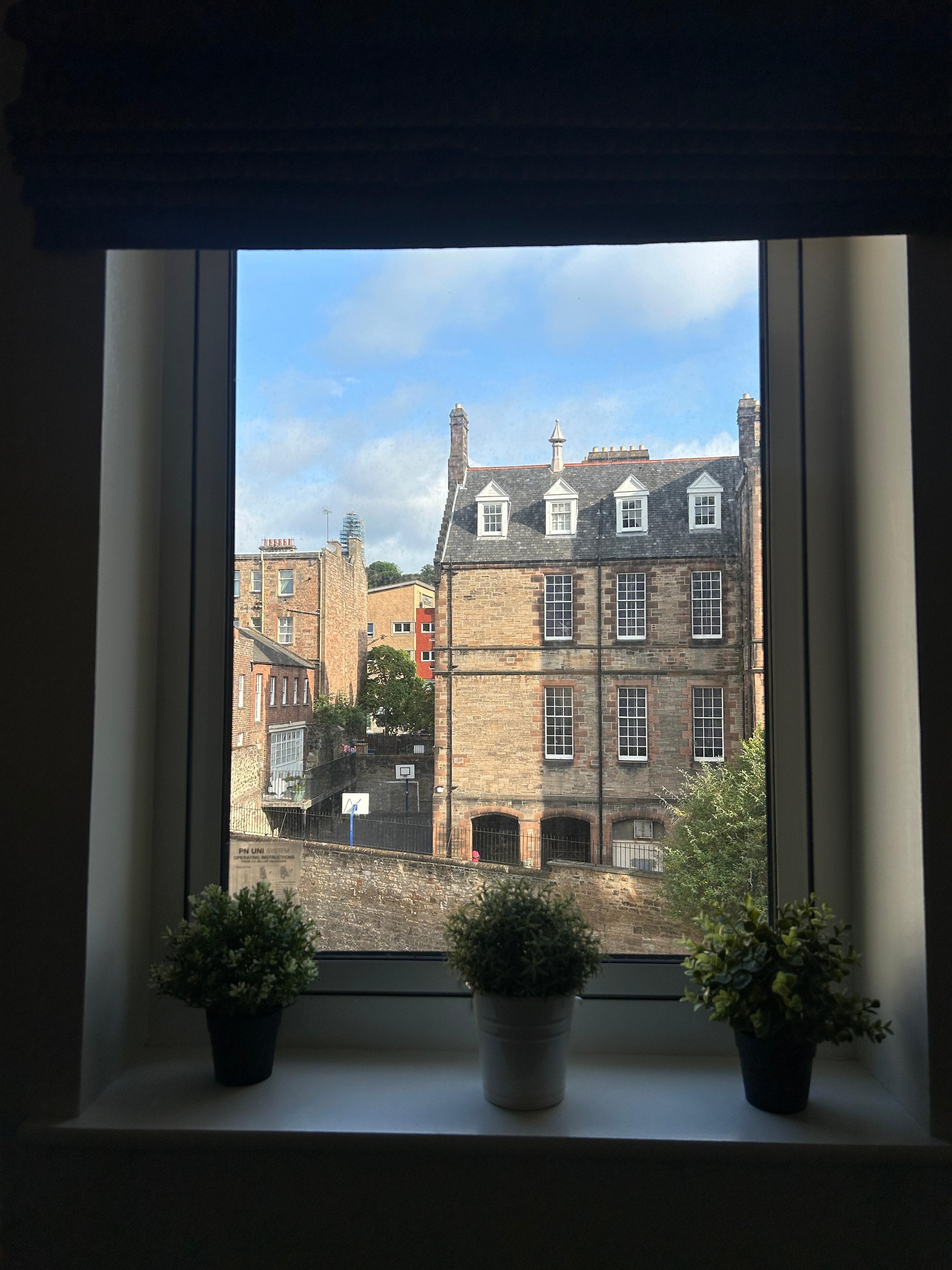 View from the kitchen window. 