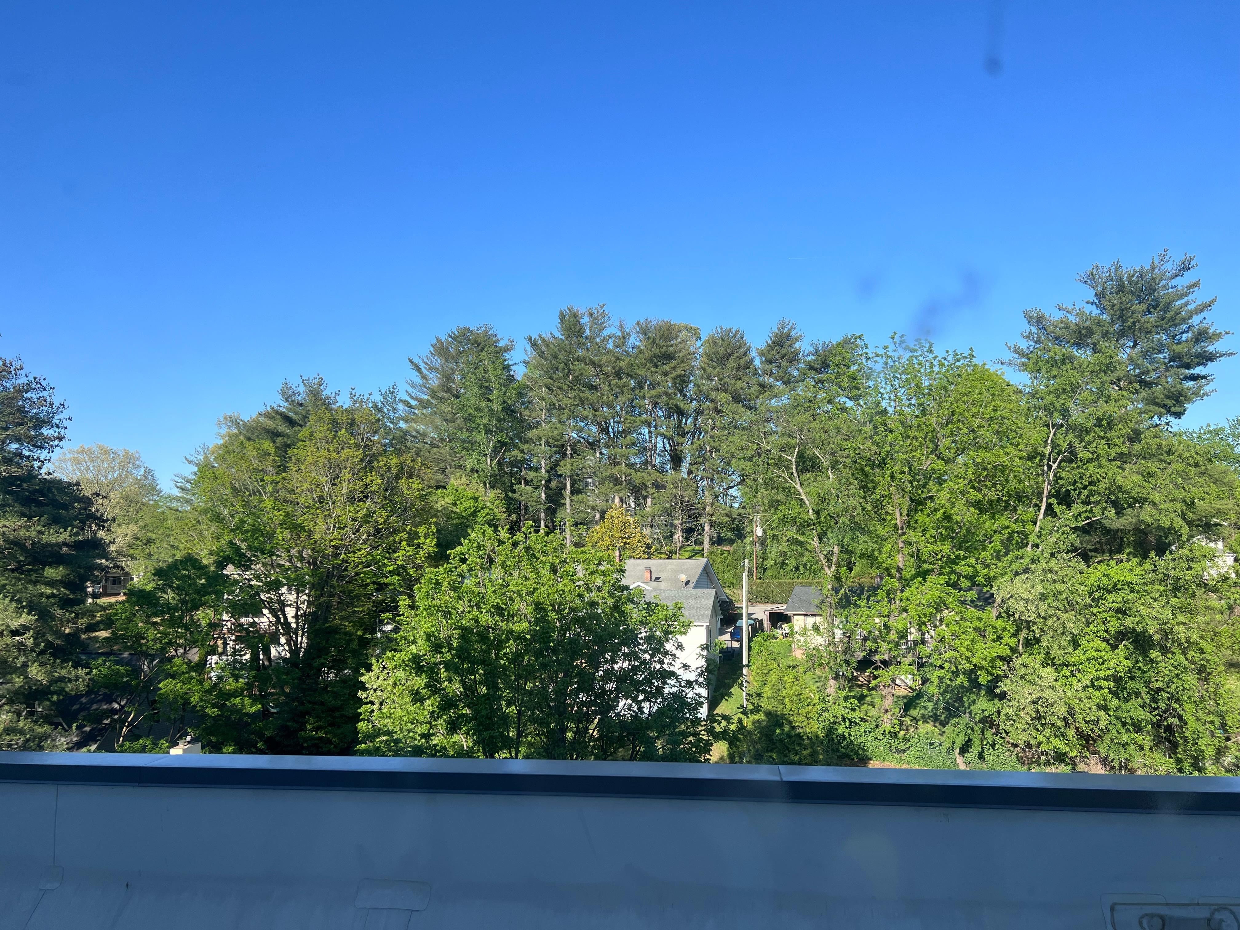 View out the back is nice and green