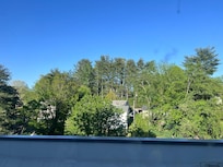 View out the back is nice and green