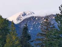 view from front yard