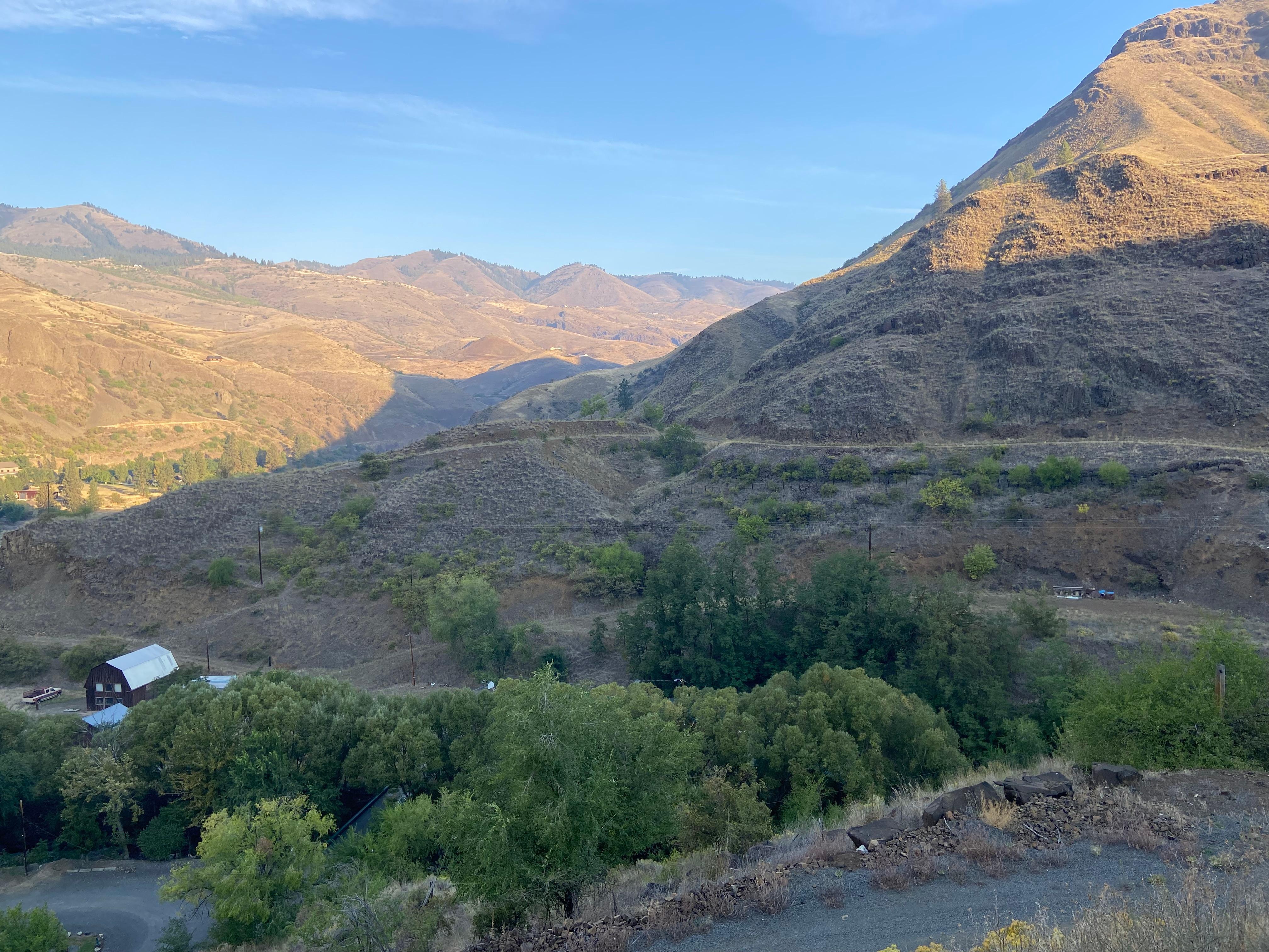 View from the back porch. 