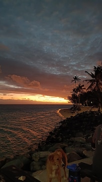 Beautiful sunsets