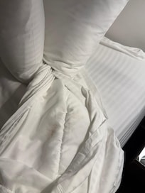 Comforter when we first got to the hotel and opened the sheets to sleep.