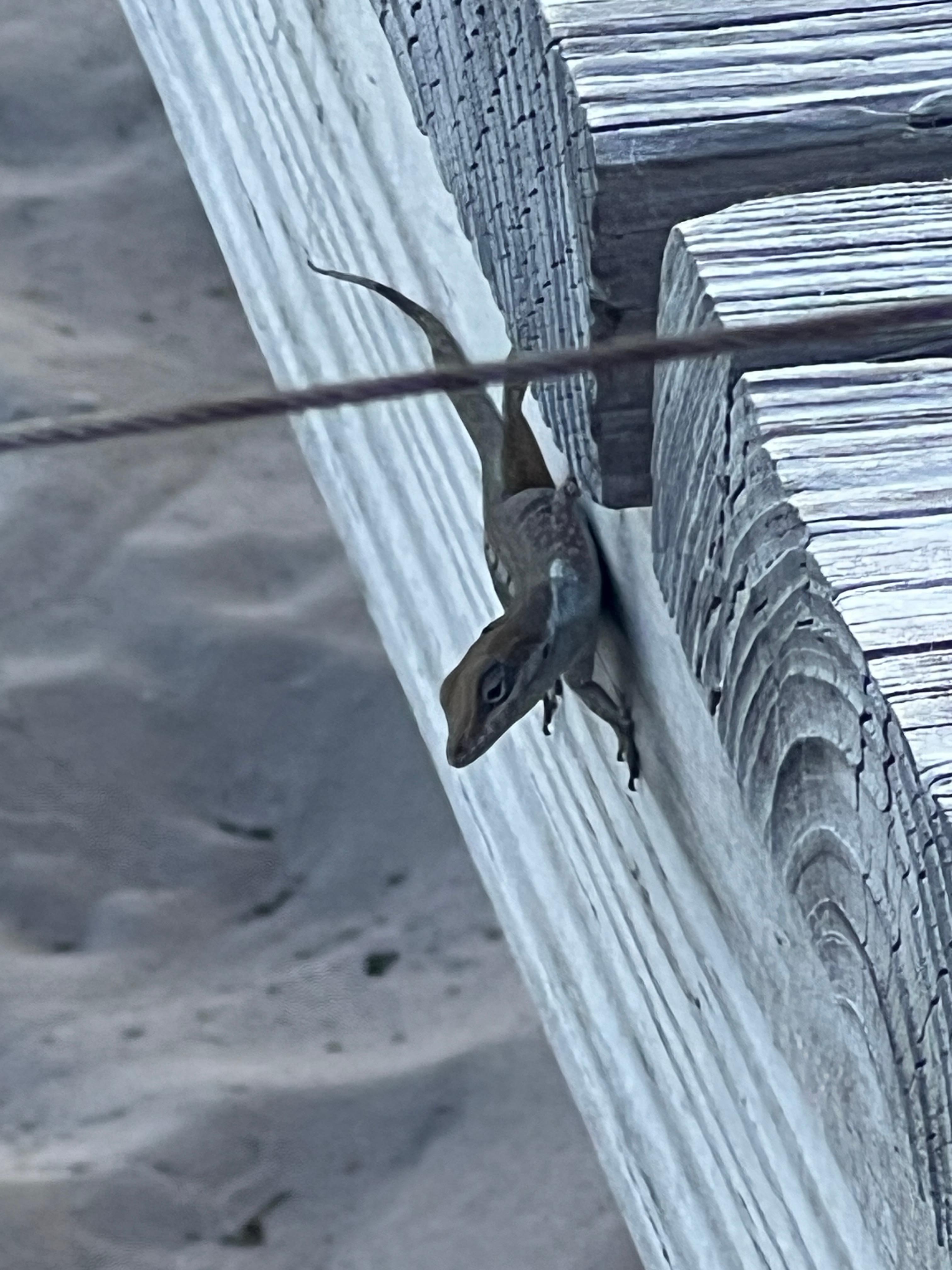 Yup—great place to linger