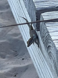 Yupâgreat place to linger