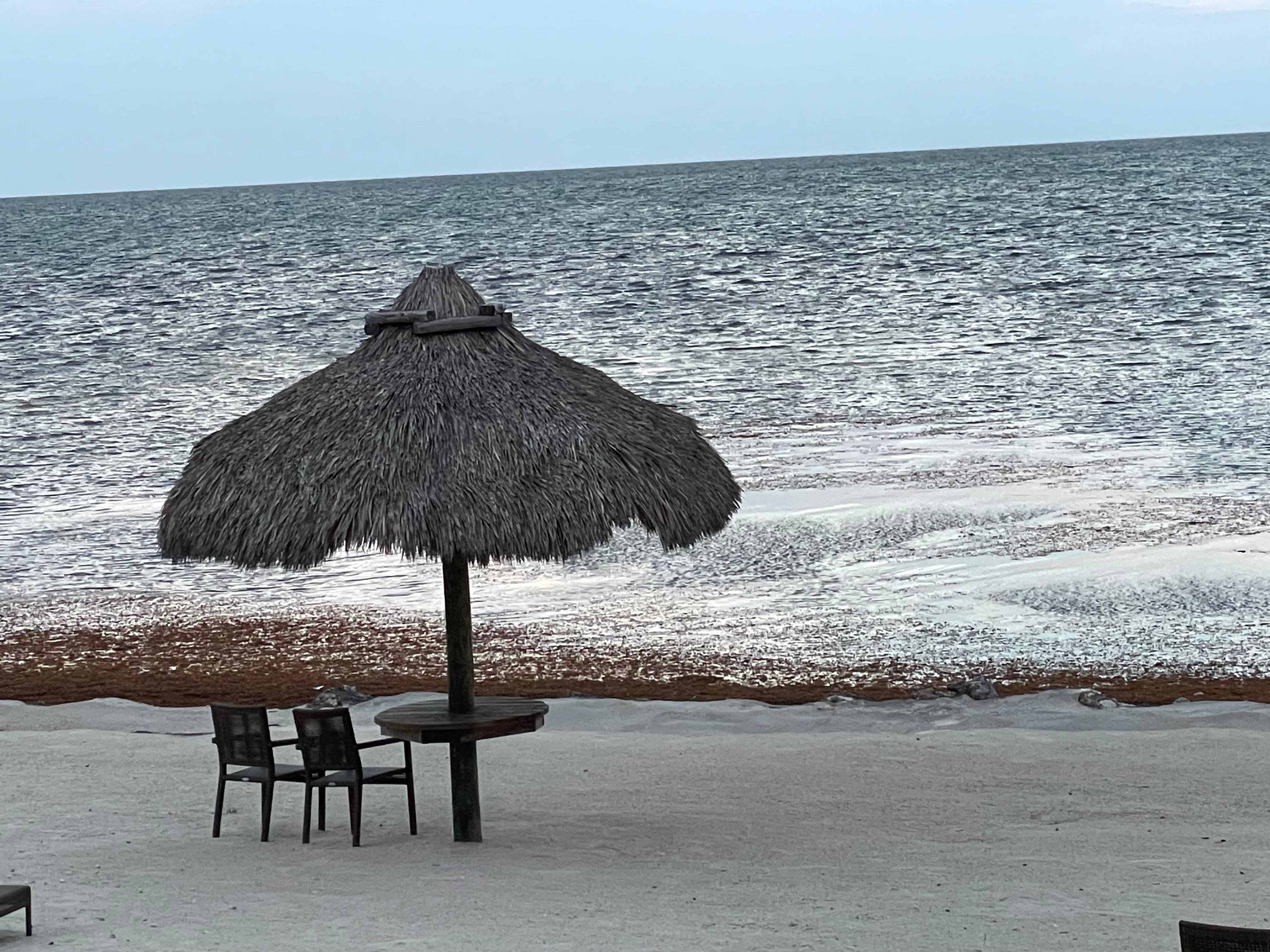 Spent every morning out at that table, drinking my coffee and relaxing.