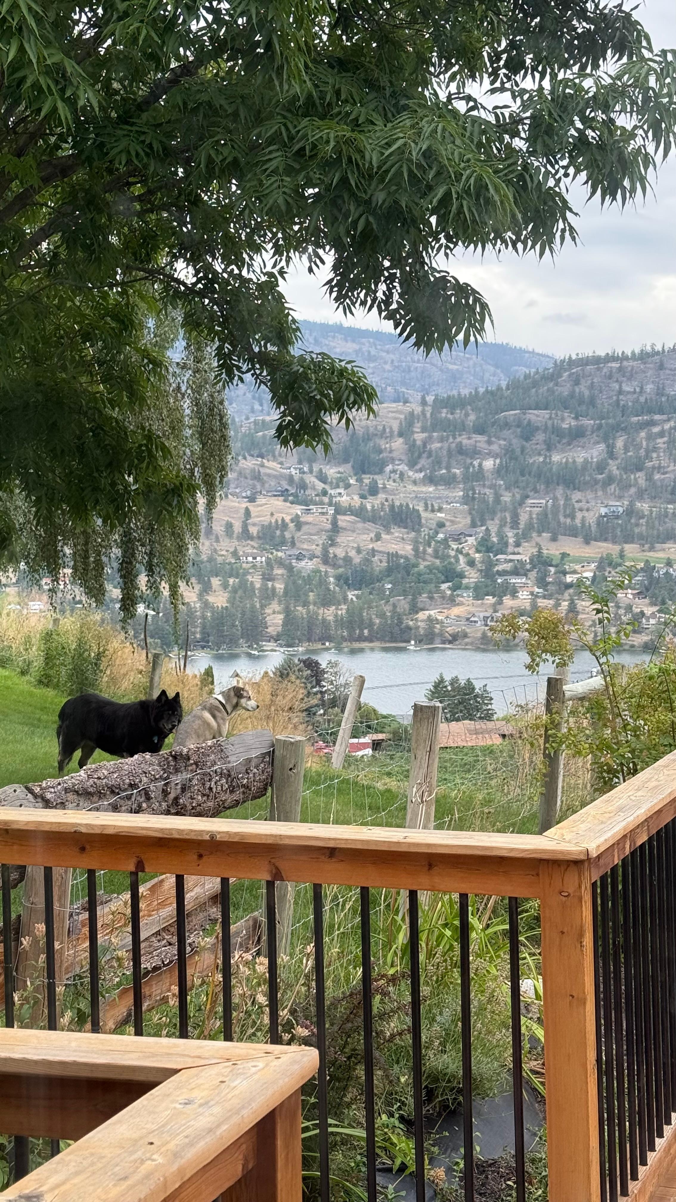 Beautiful view from the deck