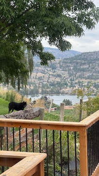 Beautiful view from the deck