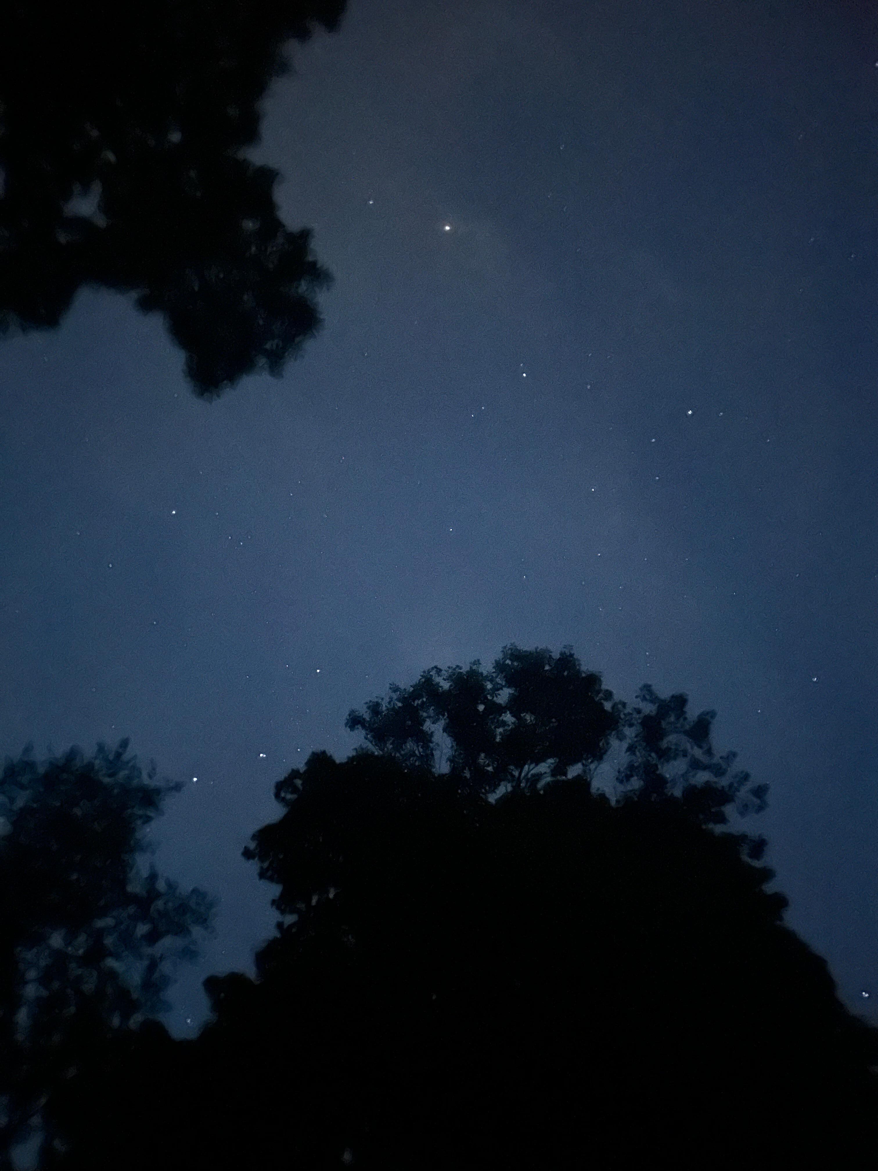 Stary night 