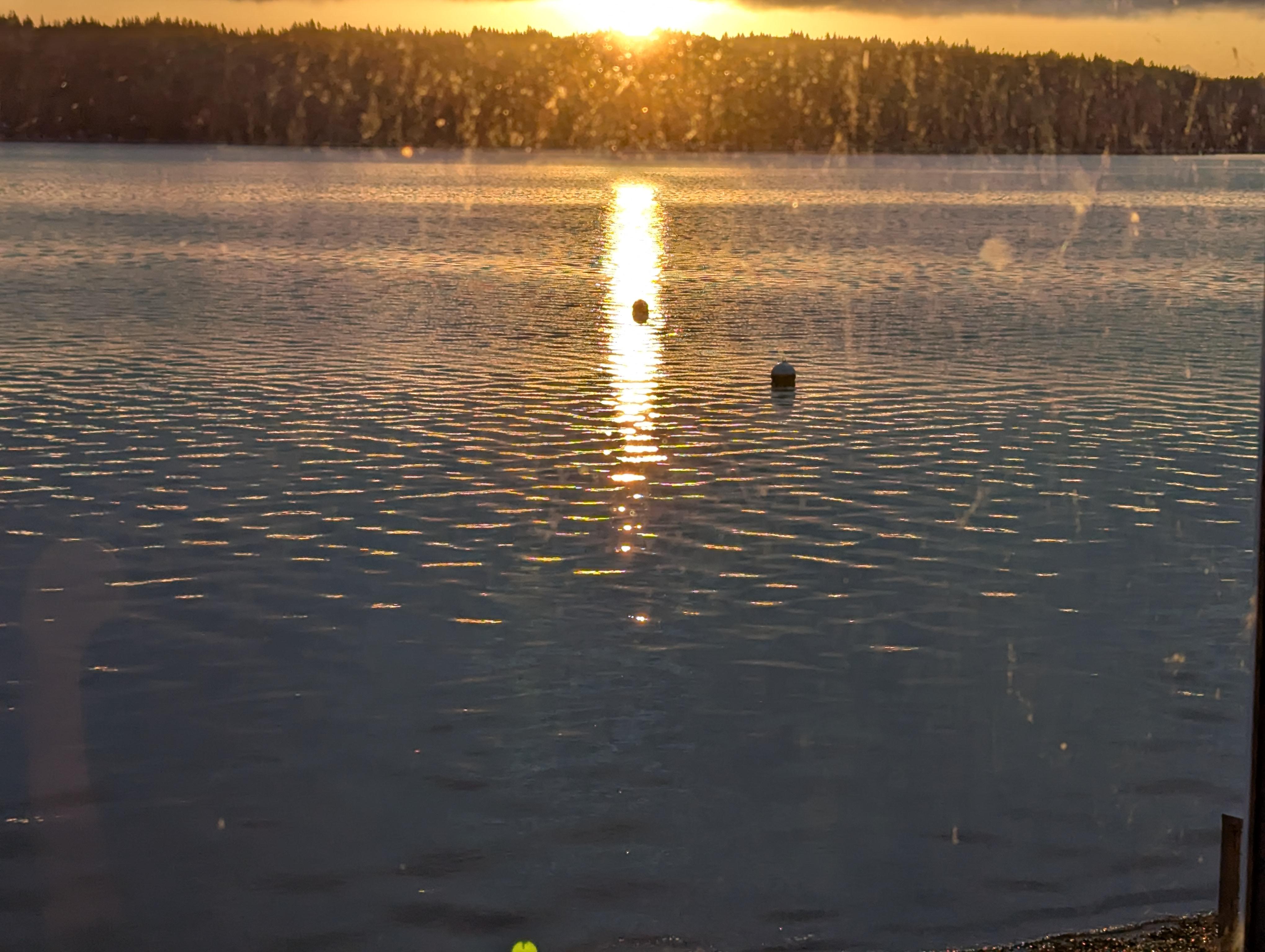 Amazing view of Sunrise with a seal popping its head in the foreground.