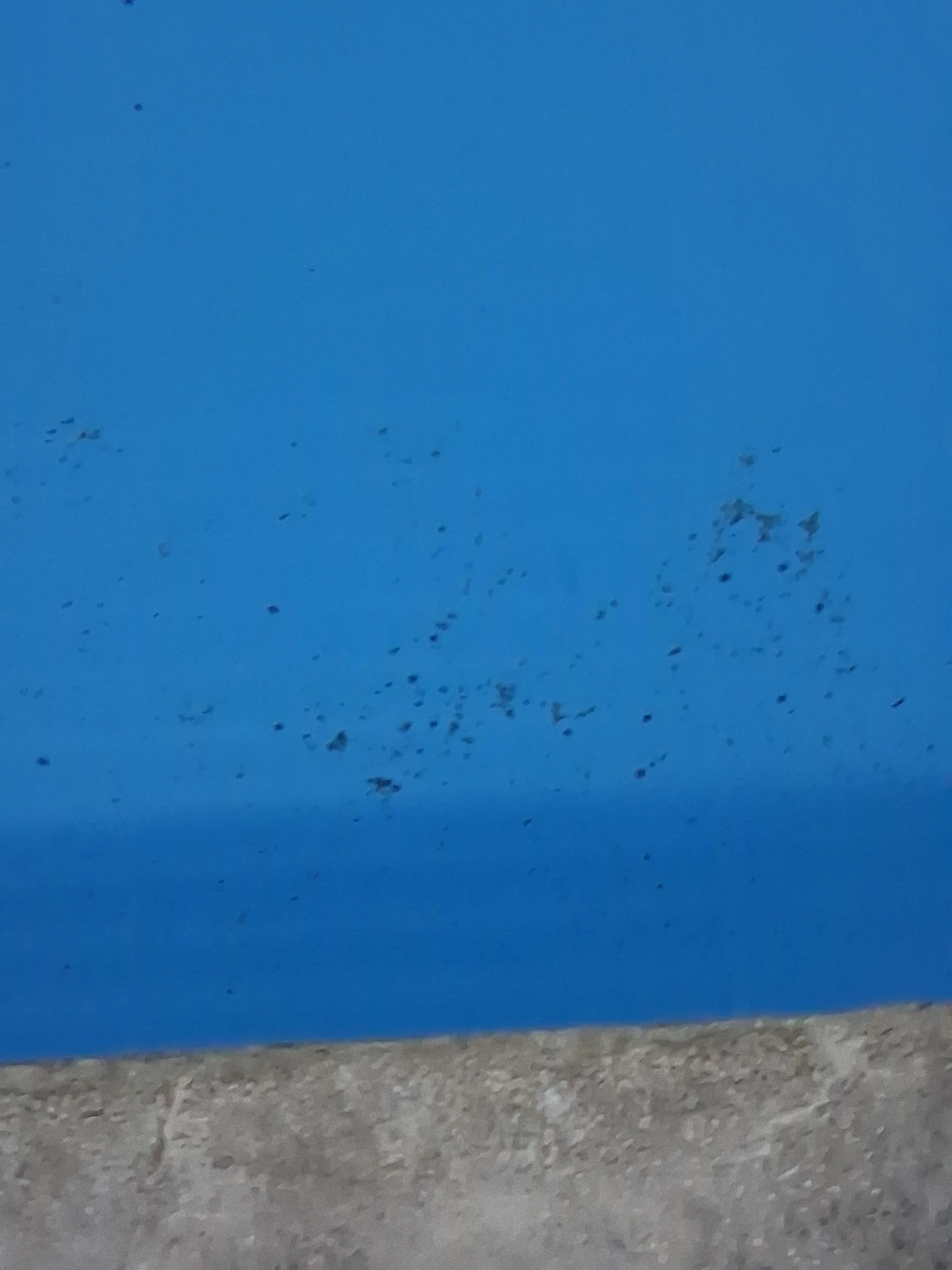 Pool was dirty and cold I was told it would've cleaned and warmed by the next night