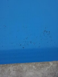 Pool was dirty and cold I was told it would've cleaned and warmed by the next night